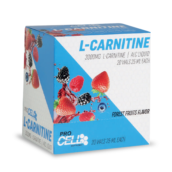 L-CARNITINE 3000